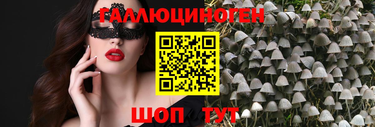 Галлюциногенные грибы GOLDEN TEACHER  цены   Кушва  Галлюциногенные грибы GOLDEN TEACHER  Вход с VPN 